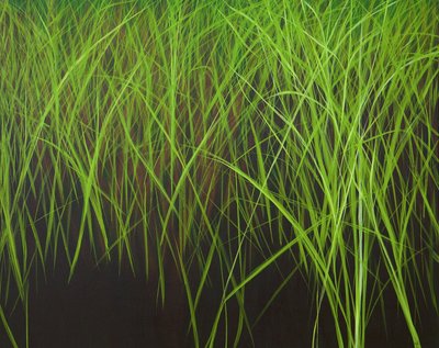 Fresh Grass, 2016 by Sandy Iseli