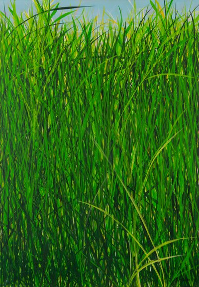 Summer Grass, 2020 by Sandy Iseli