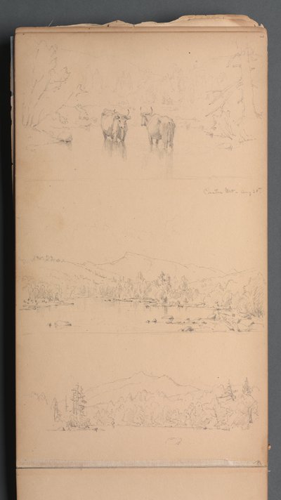 Sketchbook, page 07: "Carter Mt (?) Aug. 28th" by Sanford Robinson Gifford