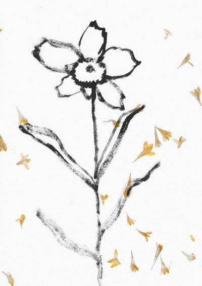 Delicate Flower Sketch by Santhosh ch