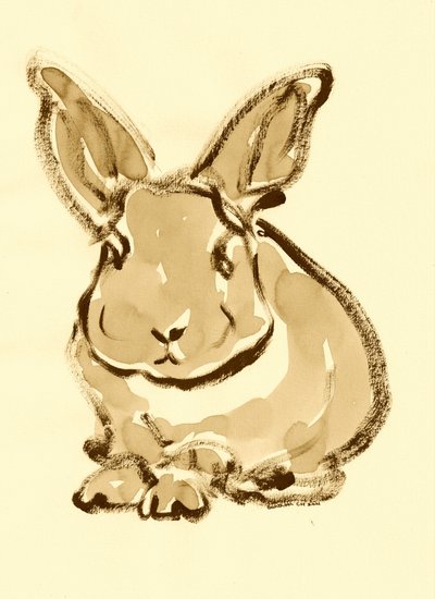 Gentle Bunny Sketch by Santhosh ch