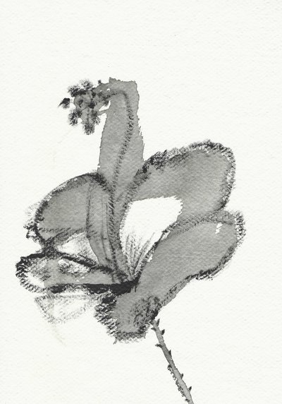 Monochrome Floral Study by Santhosh ch