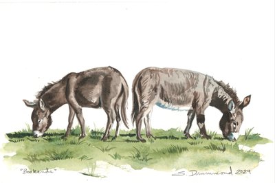 Bookends by Sarah Drummond