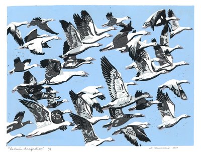 Escher