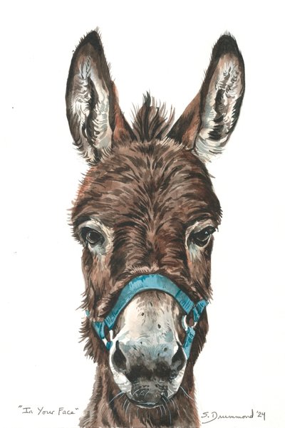 In Your Face by Sarah Drummond