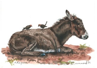 Repose by Sarah Drummond