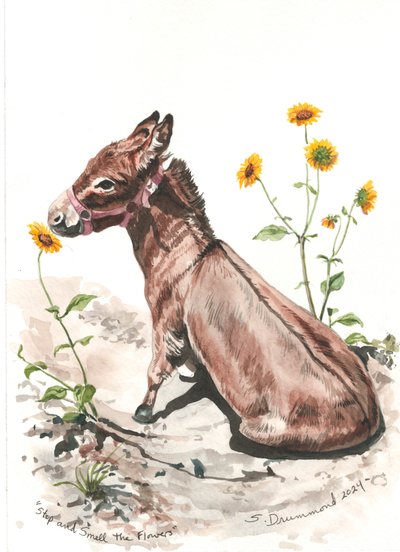 Stop and Smell the Flowers by Sarah Drummond