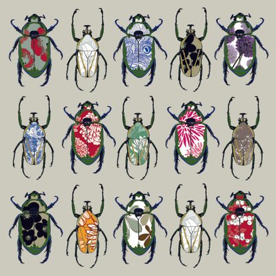 Beetledrive by Sarah Hough