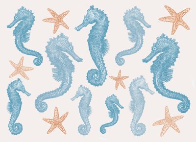 Seahorses and Starfish, 2017 by Sarah Hough