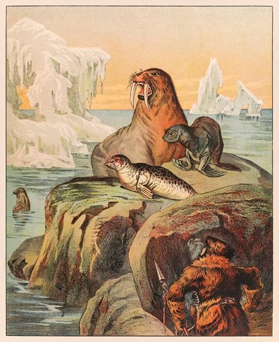 An Eskimo hunting seals and a walrus, from P.T. Barnum