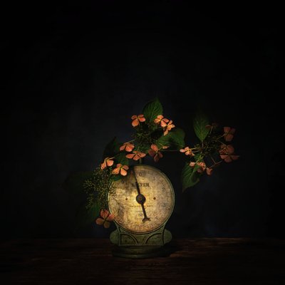 Dark Floral Scale Still Life by Saskia Dingemans