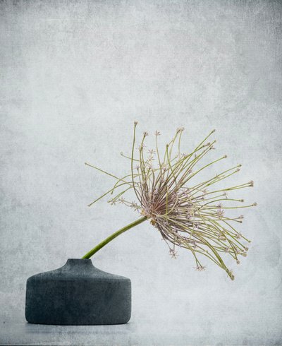 Delicate Botanical Still Life by Saskia Dingemans