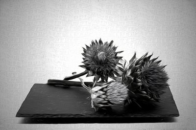 Monochrome Artichoke Still Life by Saskia Dingemans