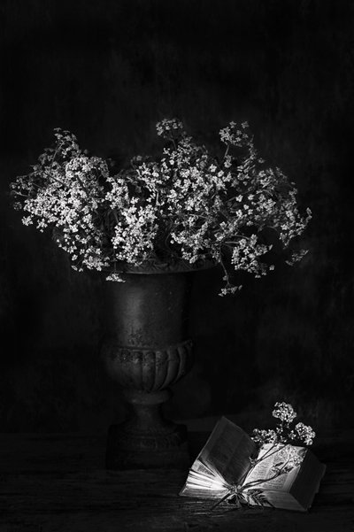 Moody Floral Still Life by Saskia Dingemans