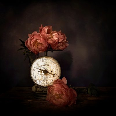 Pink Peonies on Scale by Saskia Dingemans