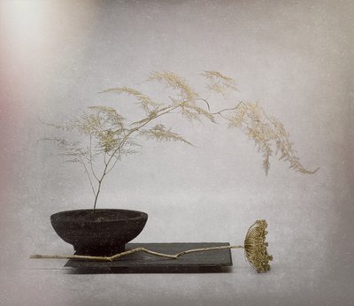 Serene Dried Botanical by Saskia Dingemans