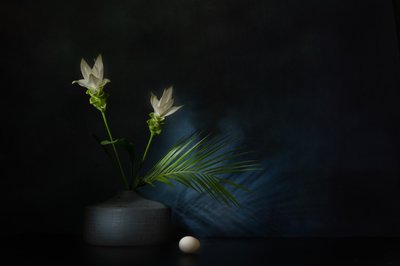 White Flowers Dark Still Life by Saskia Dingemans