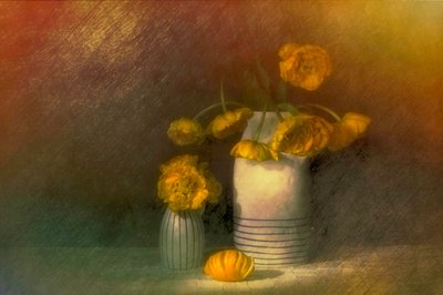 Yellow Ranunculus Still Life by Saskia Dingemans