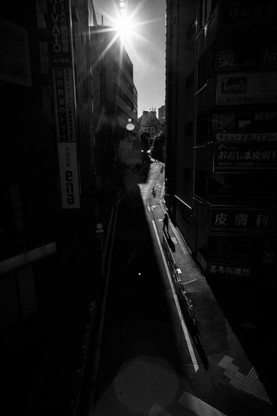 Urban Path in Sunlight by Satoshi Hata