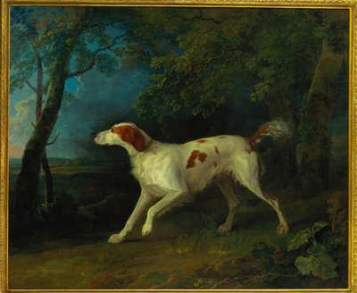 A brown and white setter in a wooded landscape by Sawrey Gilpin