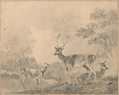 Fallow Deer: Stag, Doe and Fawn in a Clearing by Sawrey Gilpin