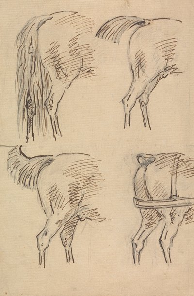 Four Sketches of Hind Quarters of Horse by Sawrey Gilpin