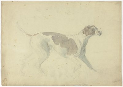 Fox Hound (front); Sketches of Horse and Rider (back) by Sawrey Gilpin