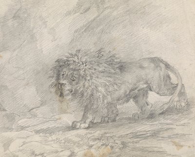 Lion Walking in Rocky Landscape by Sawrey Gilpin