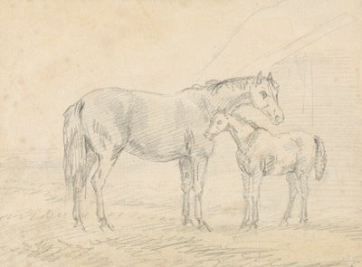 Mare with Foal by Sawrey Gilpin