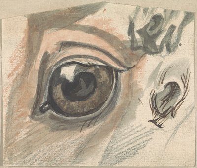 Studies of Facial Features of a Horse by Sawrey Gilpin