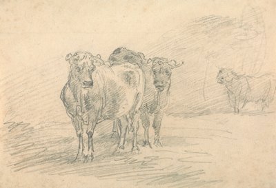 Two Cows on a Hill by Sawrey Gilpin