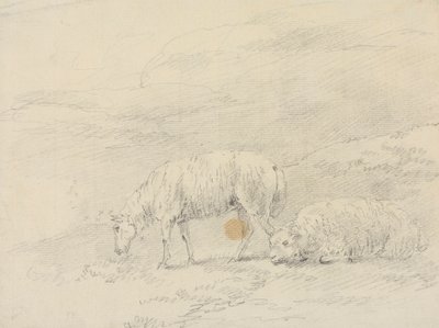 Two Sheep by Sawrey Gilpin