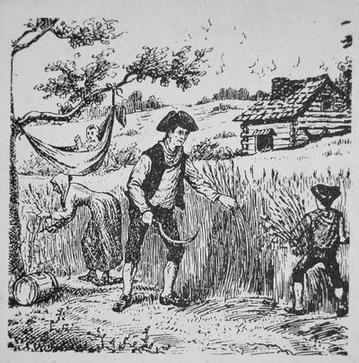A family harvesting corn by School American
