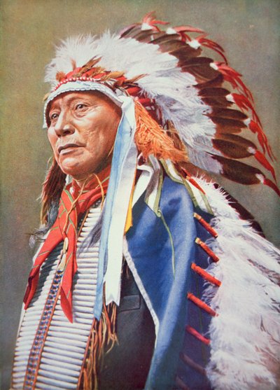 Chief Hollow Horn Bear by School American
