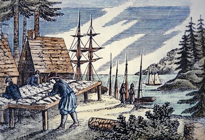Fishermen drying cod in New England, from a 17th century woodcut by School American