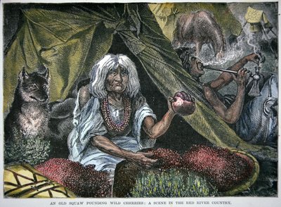 Native American Food by School American