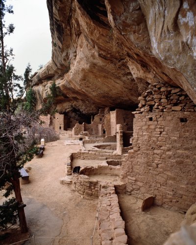 View of the Spruce Tree House Site by School Anasazi