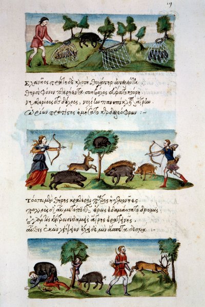 Art Byzantium: wild boar hunting. Different hunting techniques. Top: capture of beets in nets. In the center game hunting for a bow. Bottom: hunters attack by animals. Miniature in De venatione folio 19, by Oppian of Syria by School Byzantine