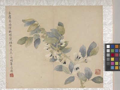 8 Leaf Album Of Flowers by School Chinese