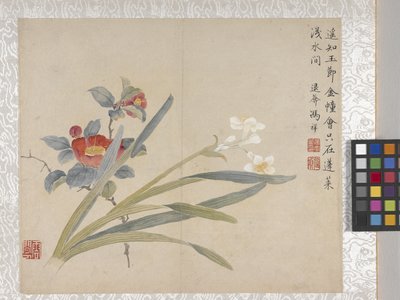 8 Leaf Album of Flowers, mid 1700s by School Chinese