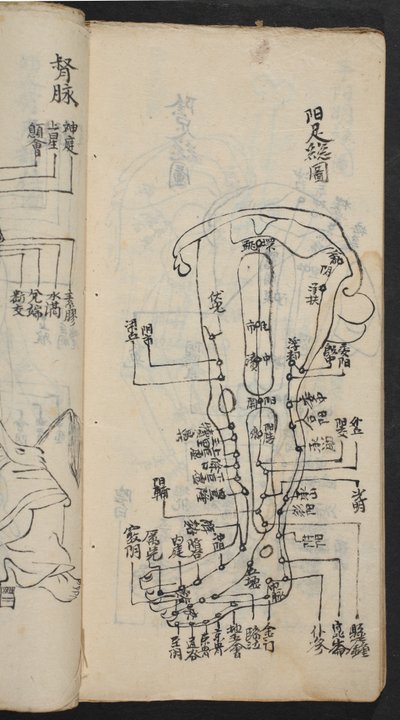 Acupuncture Points on the Leg, from 