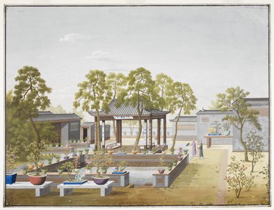 Drawing of the Garden of a Chinese Merchant by School Chinese