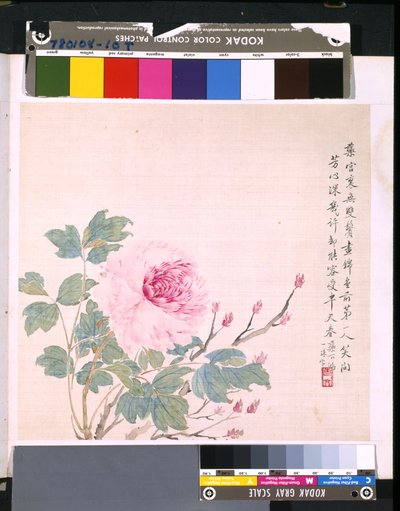 Album of Flowers and Birds by School Chinese