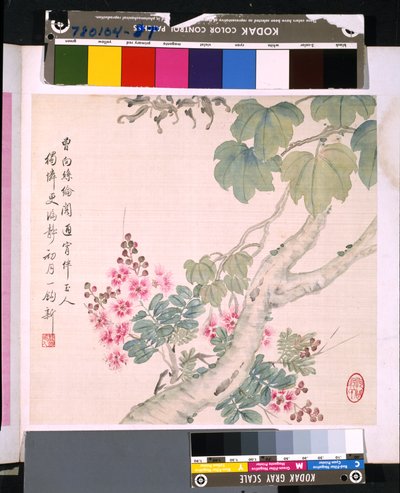 Album of Flowers and Birds by School Chinese