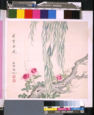 Album of Flowers and Birds, Date Unknown by School Chinese