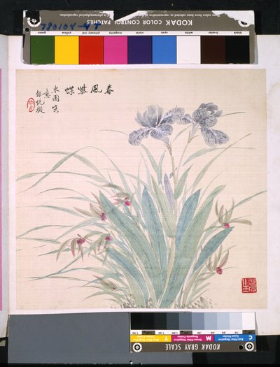 Album Of Flowers And Birds by School Chinese