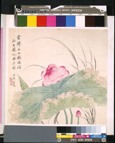 Album of Flowers and Birds by School Chinese