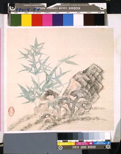 Album of Flowers and Birds by School Chinese