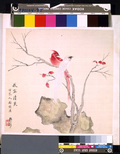 Album Of Flowers And Birds by School Chinese