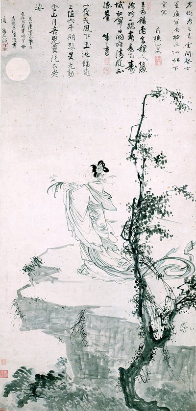 Beautiful Woman Presenting Longevity by School Chinese